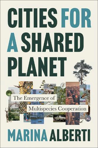 Cities for a Shared Planet