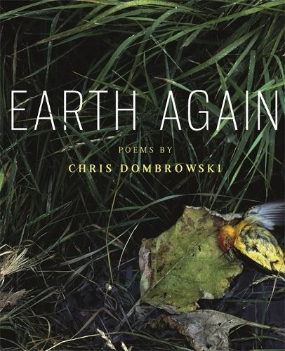 Earth Again