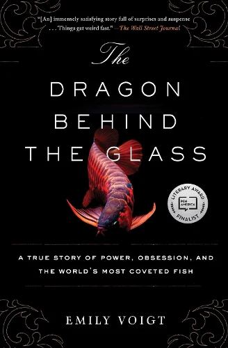 Dragon Behind the Glass